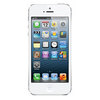 Apple iPhone 5 16Gb white - Гай