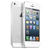Apple iPhone 5 64Gb white - Гай